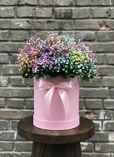 Цветочная композиция из Гипсофила и Розы в шляпной коробке #REPLACE_PRED# Каменке Ленинградская область