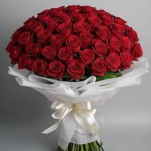 Букет 101 Красная роза Блэк Мэджик #REPLACE_PRED# Каменке Ленинградская область