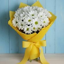 Букет цветов из:  Хризантемы в Каменке Ленинградская область