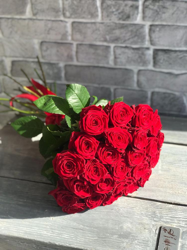 Букет Красные розы Фридом в Каменке Ленинградская область