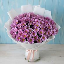 Букет цветов из:  Хризантемы #REPLACE_PRED# Каменке Ленинградская область
