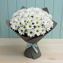 Букет цветов из:  Хризантемы в Каменке Ленинградская область
