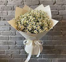 Букет цветов из:  Ромашки в Каменке Ленинградская область