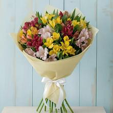 Букет цветов из:  Альстромерии #REPLACE_PRED# Каменке Ленинградская область