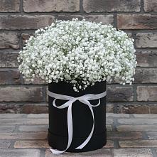 Цветочная композиция из Гипсофила в шляпной коробке в Каменке Ленинградская область