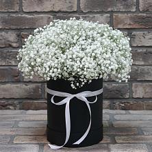 Цветочная композиция из Гипсофила в шляпной коробке в Каменке Ленинградская область