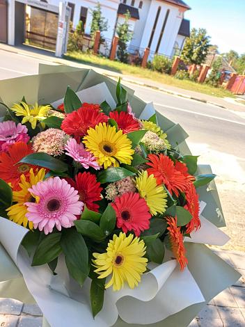 Букет цветов из: Герберы в Каменке Ленинградская область