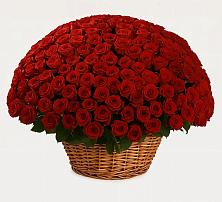 Премиум букет из: Розы в Каменке Ленинградская область