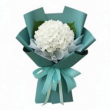 Букет цветов из:  Гортензия в Каменке Ленинградская область